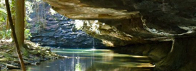 Bear Creek Overhang at Cloudland Canyon State Park