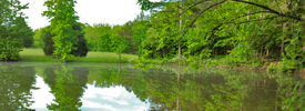 Catfish Pond at Cloudland Canyon State Park